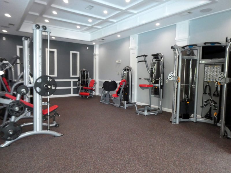 This image shows an expansive view of the fitness gym equipment for strength and chest workout.